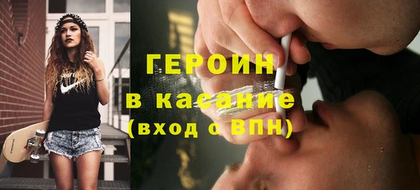 прущие грибы Горно-Алтайск