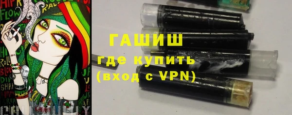 прущие грибы Горно-Алтайск