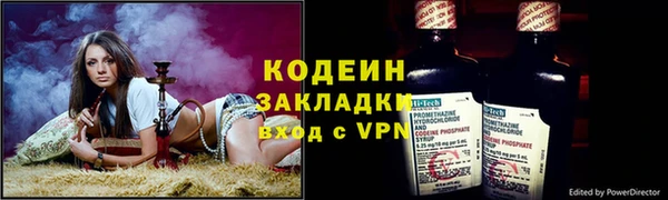 прущие грибы Горно-Алтайск