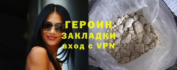прущие грибы Горно-Алтайск