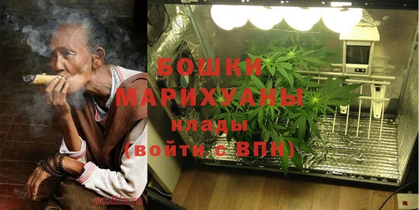 прущие грибы Горно-Алтайск