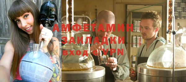 прущие грибы Горно-Алтайск