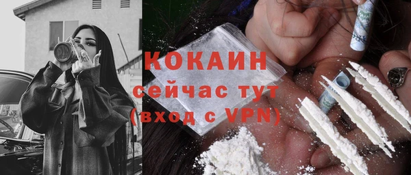 прущие грибы Горно-Алтайск