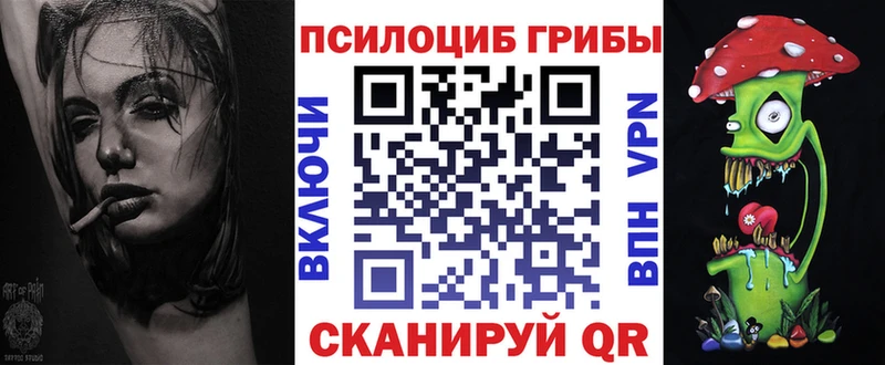 Купить где  Нефтекамск  Галлюциногенные грибы мицелий 